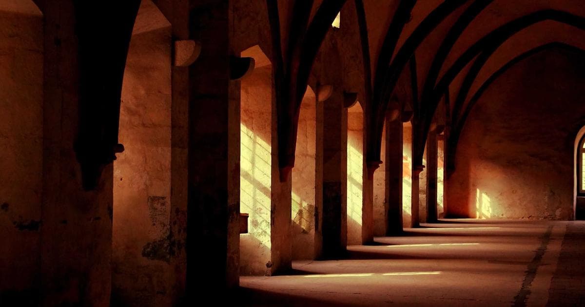 Golden retriever playing with a dog toy outdoors