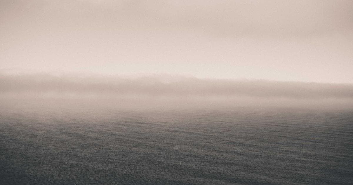 Happy dog in a comfortable setting outdoors