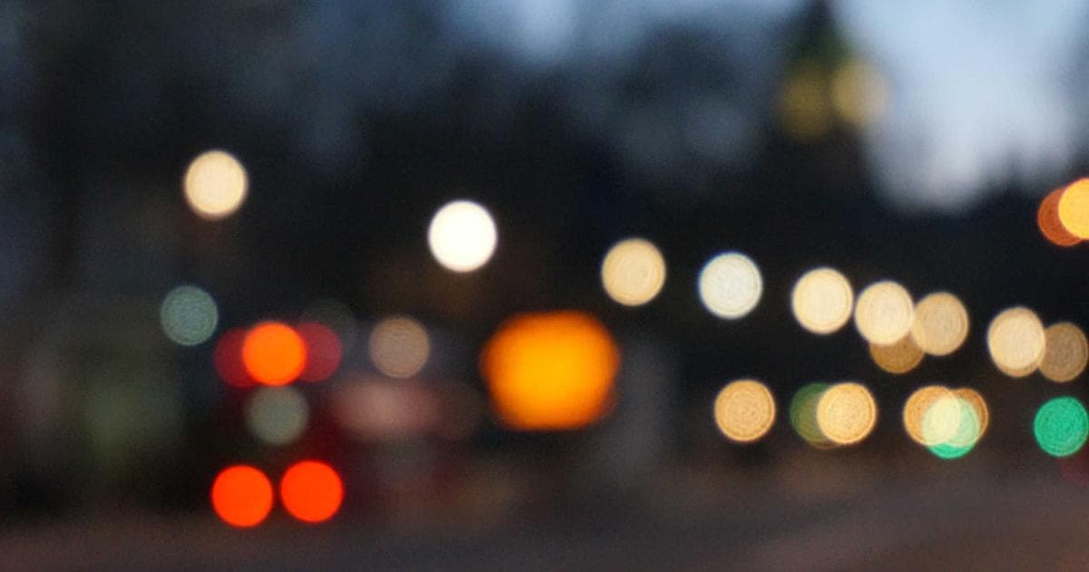 Dog resting calmly at home